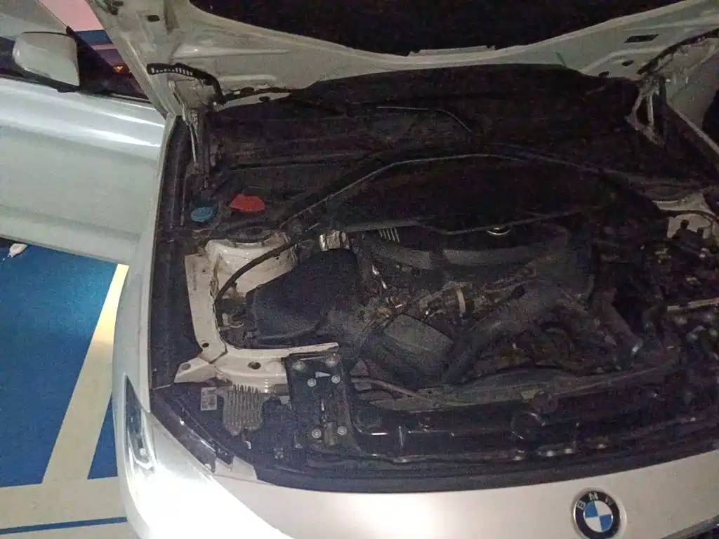 BMW 3 Series GT — фото 19