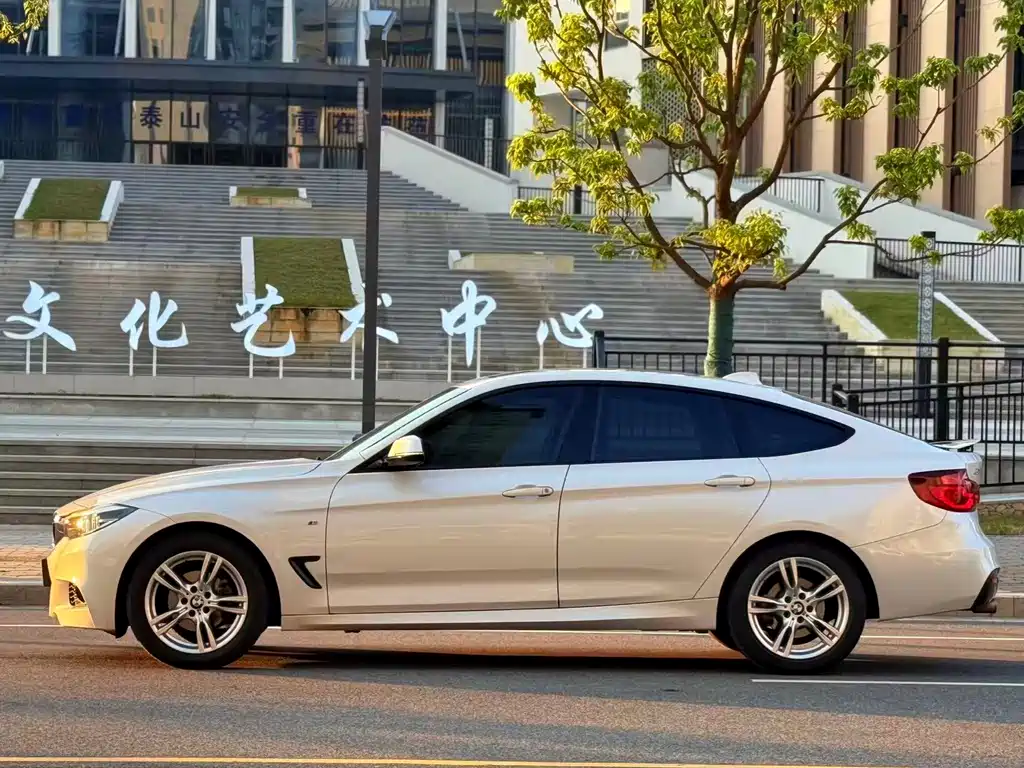 BMW 3 Series GT — фото 12
