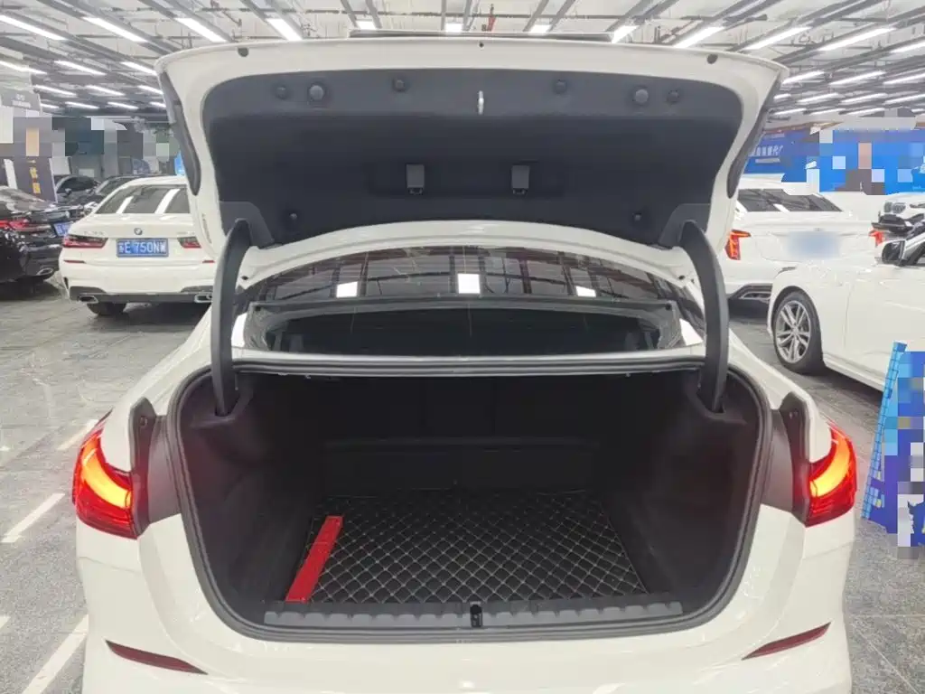BMW 2 Series (Import) — фото 19