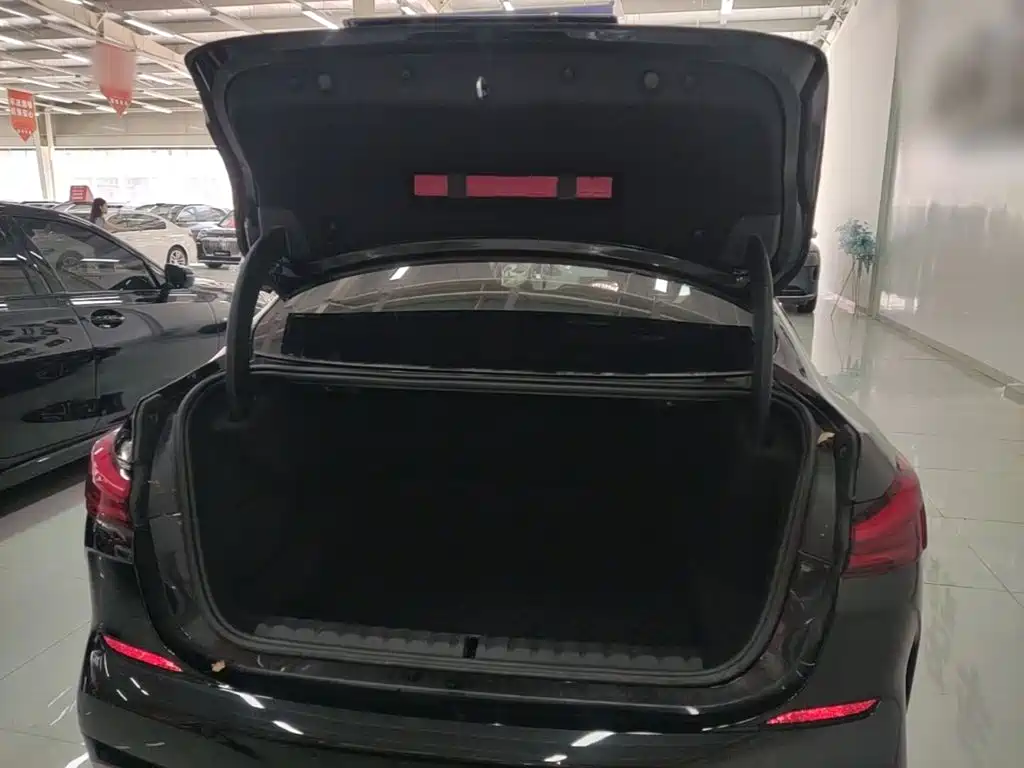 BMW 2 Series (Import) — фото 19