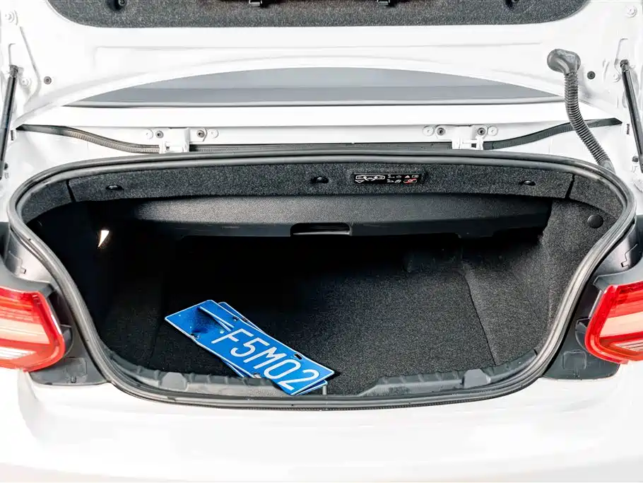 BMW 2 Series (Import) — фото 22