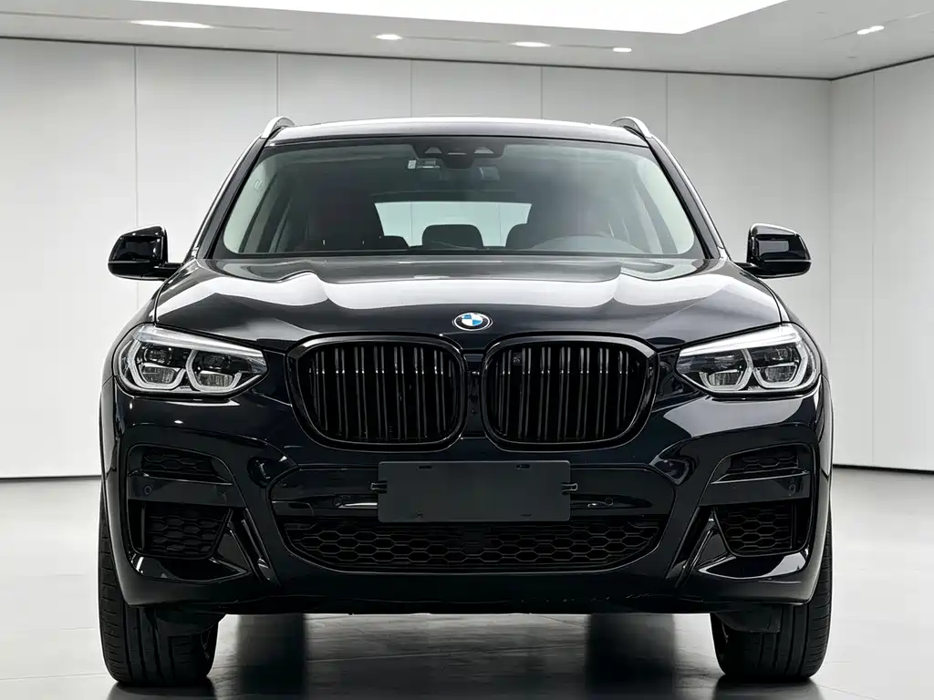 BMW X3 — фото 2