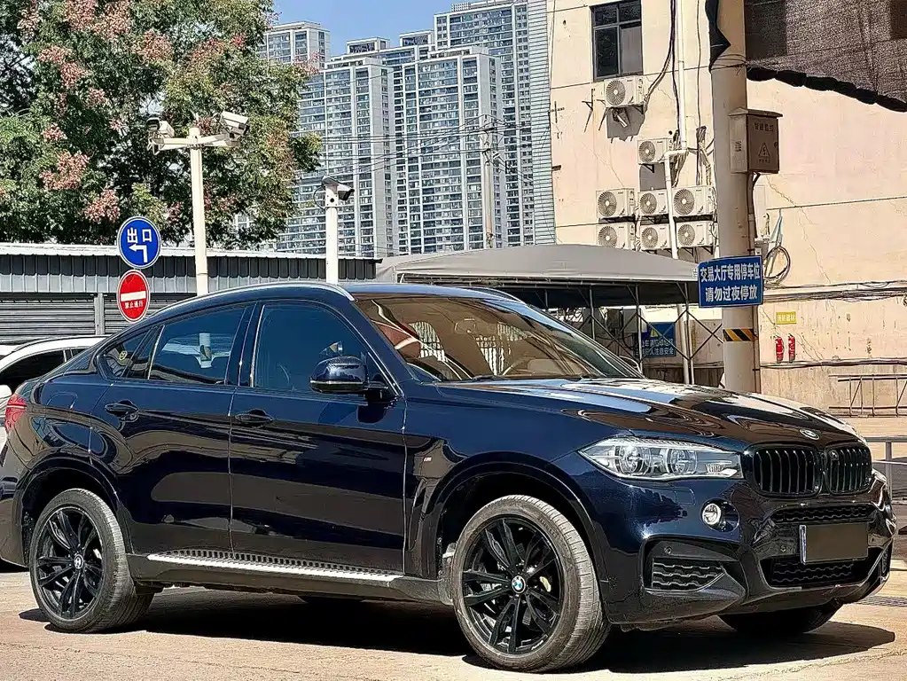 BMW X6 — фото 3