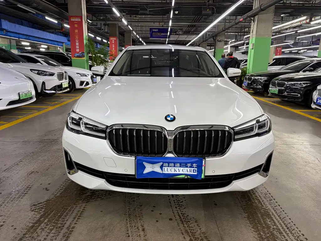 BMW 5 Series New Energy — фото 3