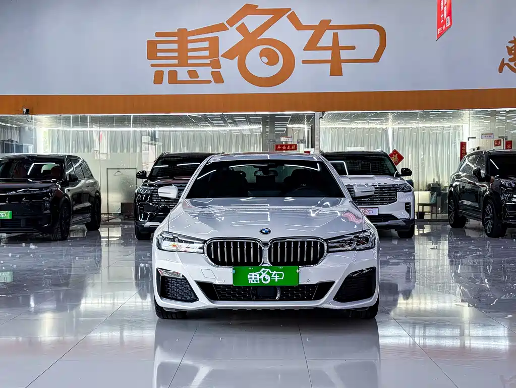 BMW 5 Series New Energy — фото 3