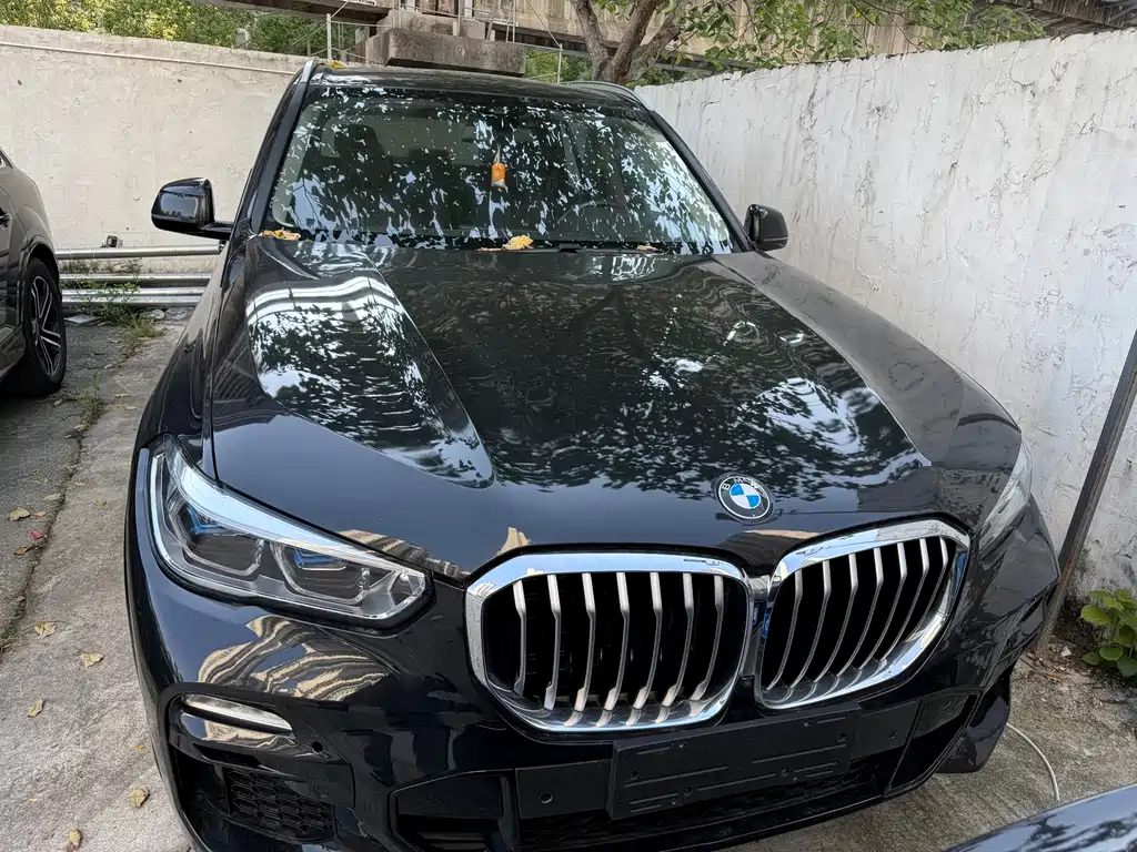 BMW X5 (Import) — фото 2