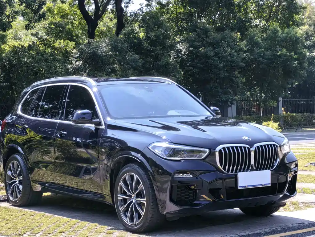 BMW X5 (Import) — фото 2