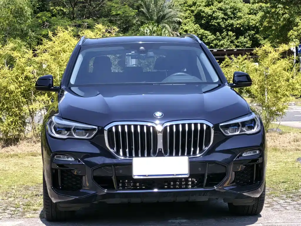 BMW X5 (Import) — фото 3