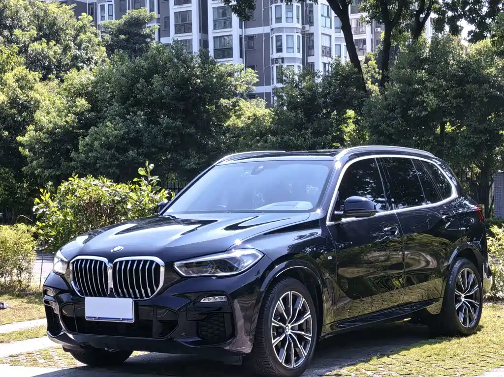 BMW X5 (Import) — фото 4