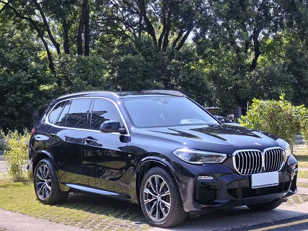 BMW X5 (Import) — фото 5