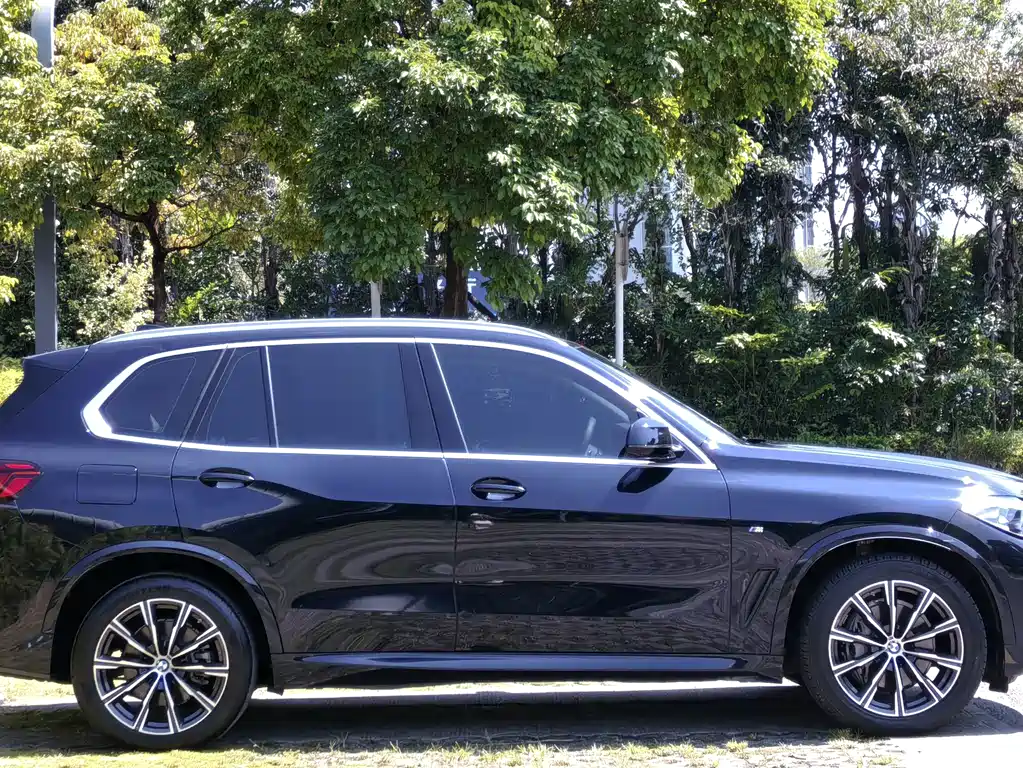 BMW X5 (Import) — фото 9
