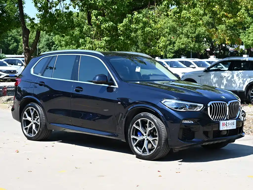 BMW X5 (Import) — фото 4