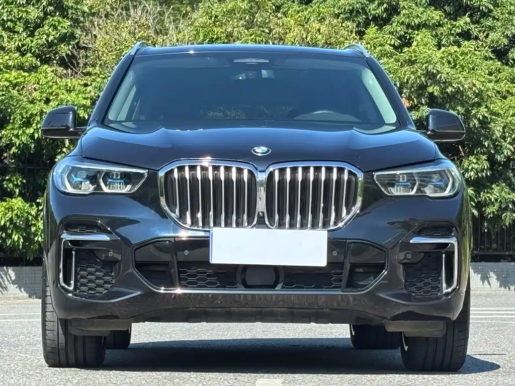 BMW X5 — фото 2