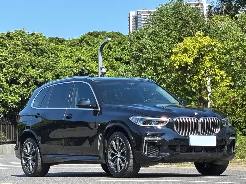 BMW X5 — фото 3