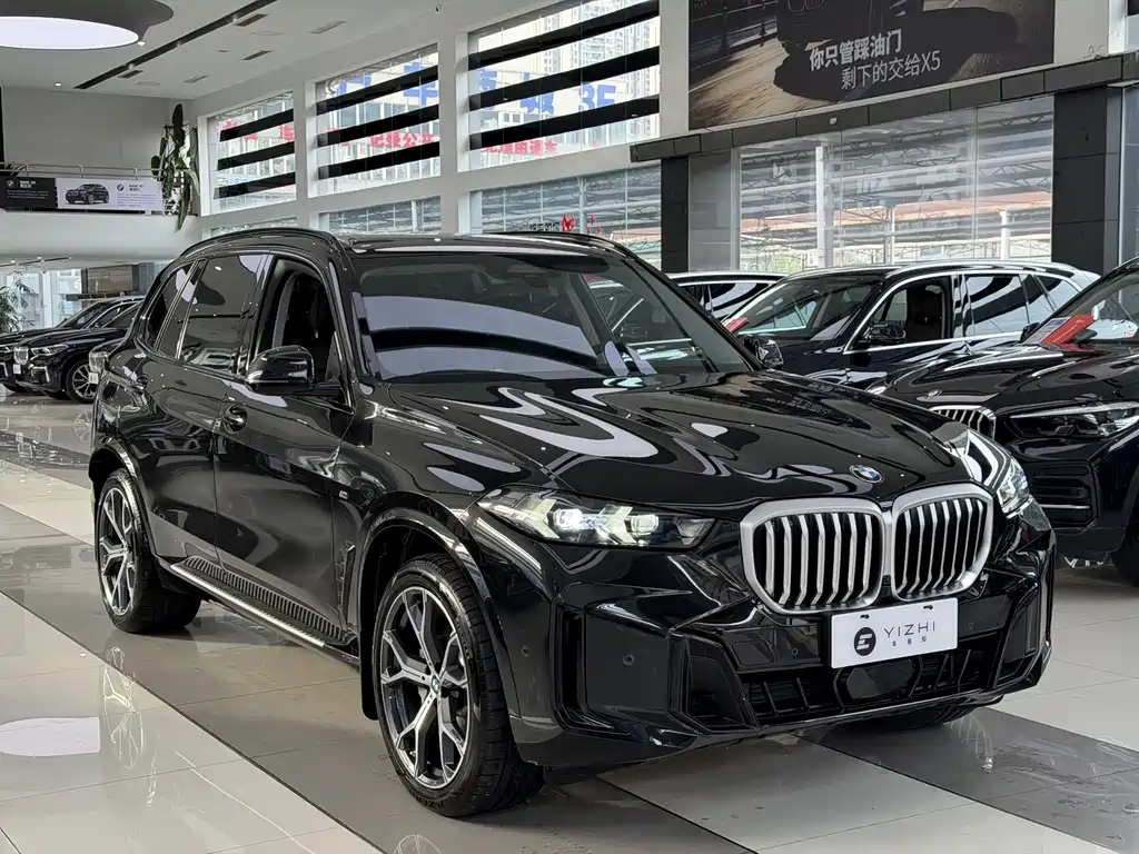 BMW X5 — фото 3
