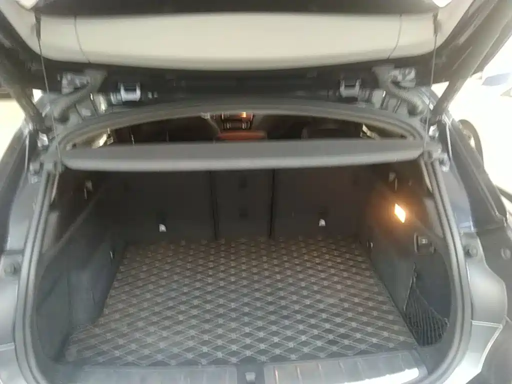 BMW X2 (Import) — фото 19