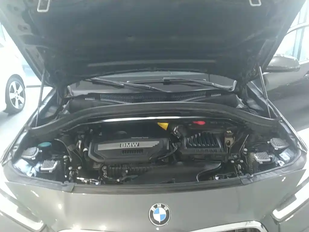BMW X2 (Import) — фото 20