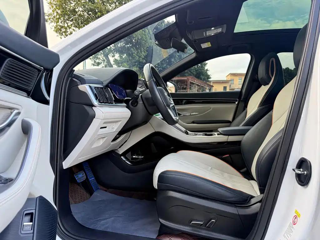 BYD PLUS New Energy — фото 4