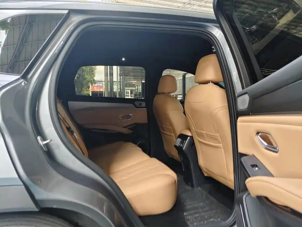 BYD L DM-i — фото 6