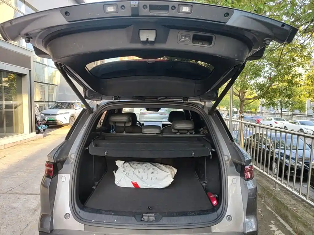 BYD Pro New Energy — фото 19