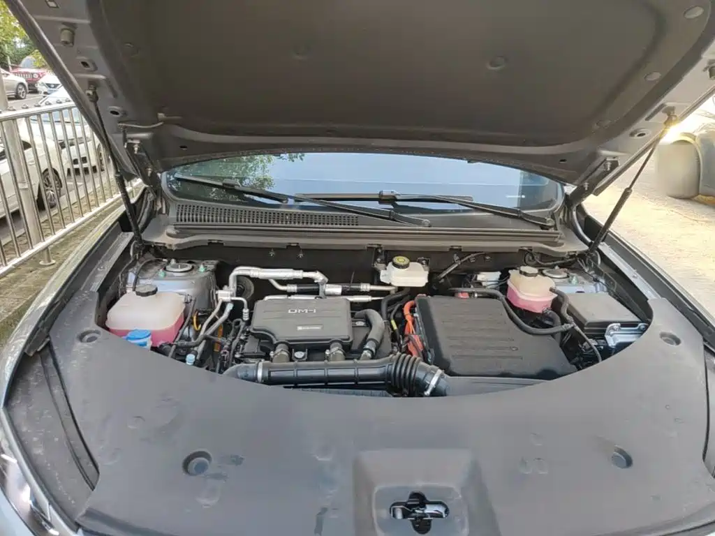 BYD Pro New Energy — фото 20