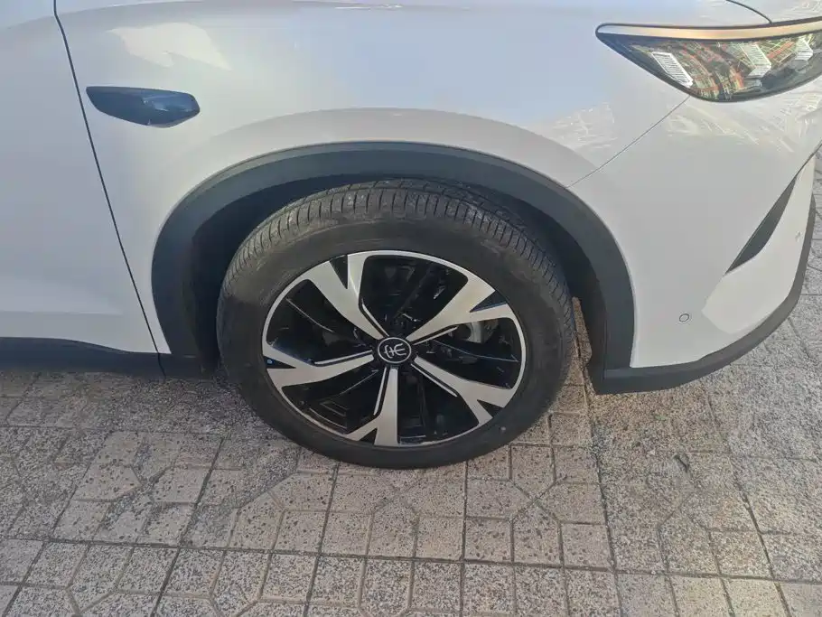 BYD Pro New Energy — фото 6