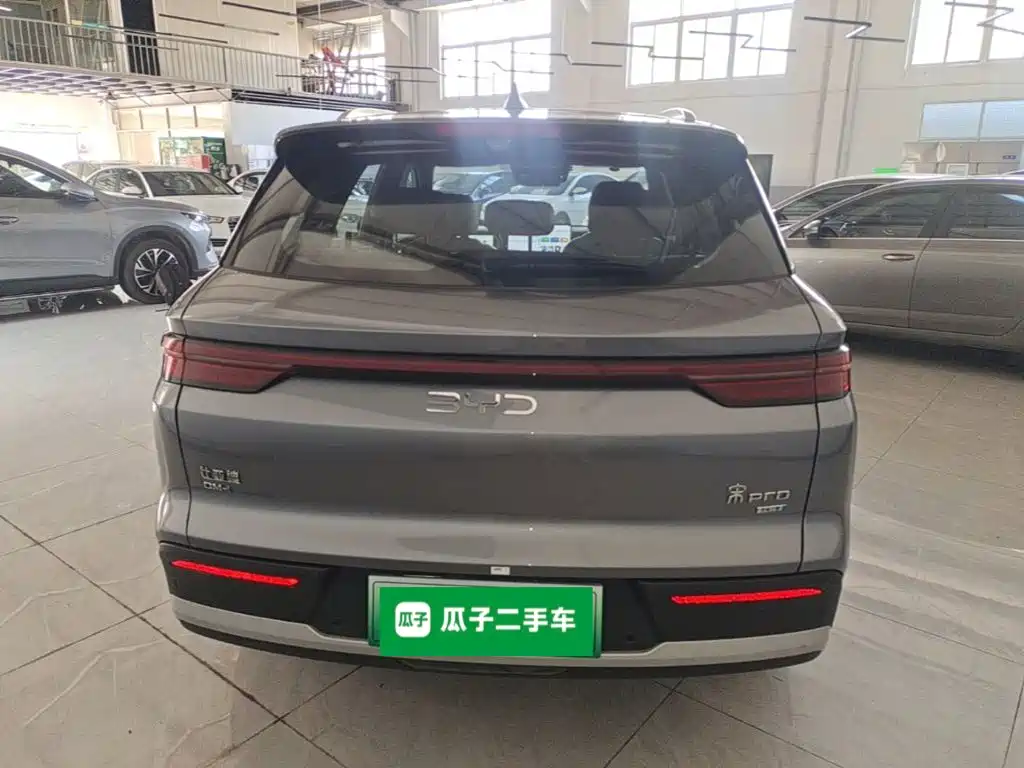 BYD Pro New Energy — фото 6