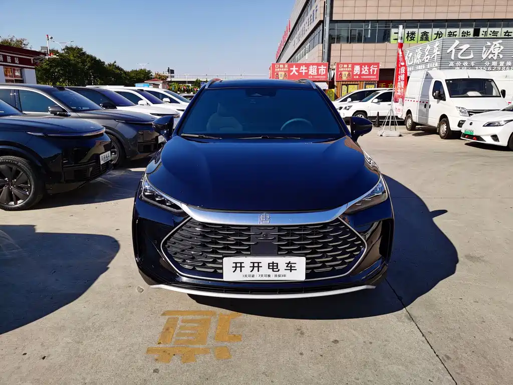 BYD Tang New Energy — фото 3