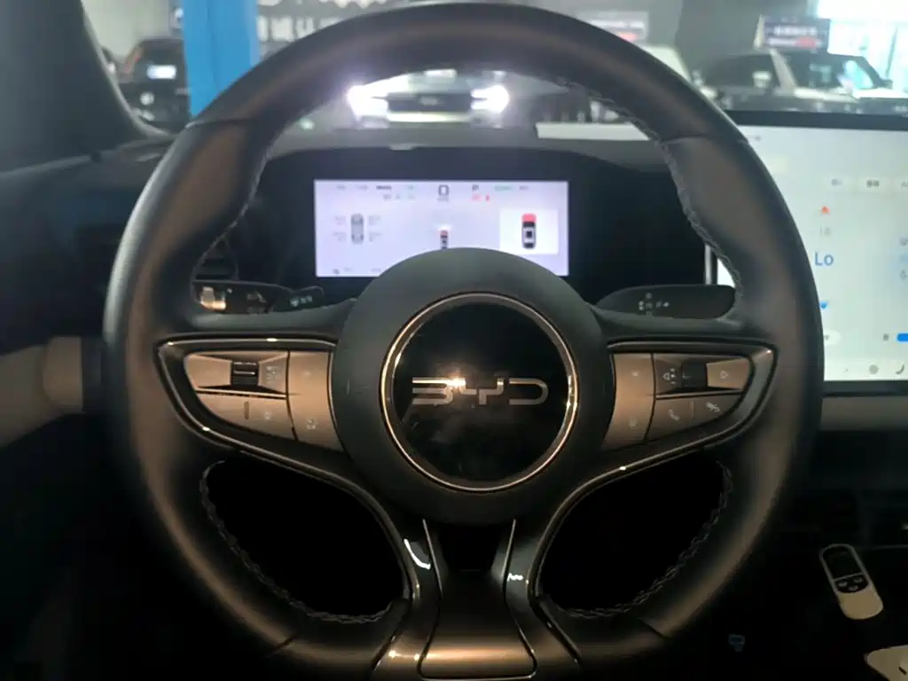 BYD Seal 06 — фото 11