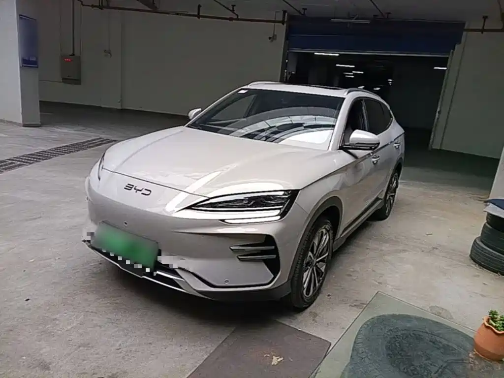 BYD PLUS New Energy — фото 2