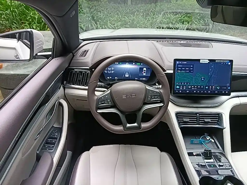 BYD PLUS New Energy — фото 11