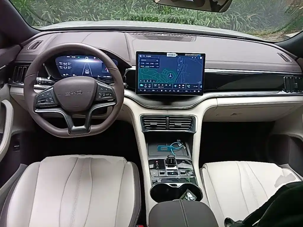 BYD PLUS New Energy — фото 10