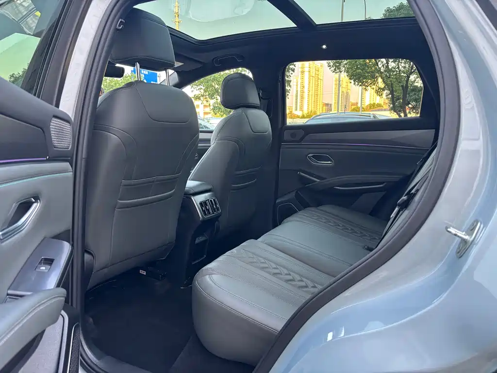 BYD L DM-i — фото 13
