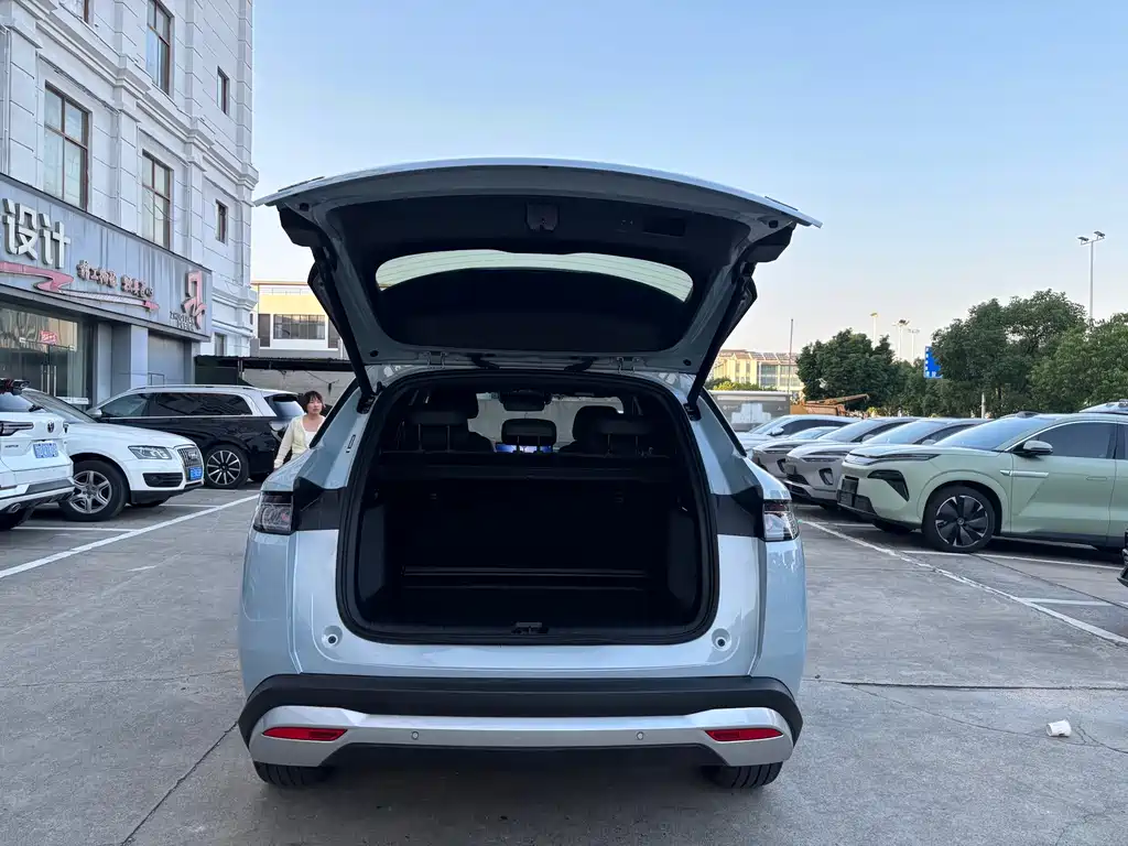 BYD L DM-i — фото 7