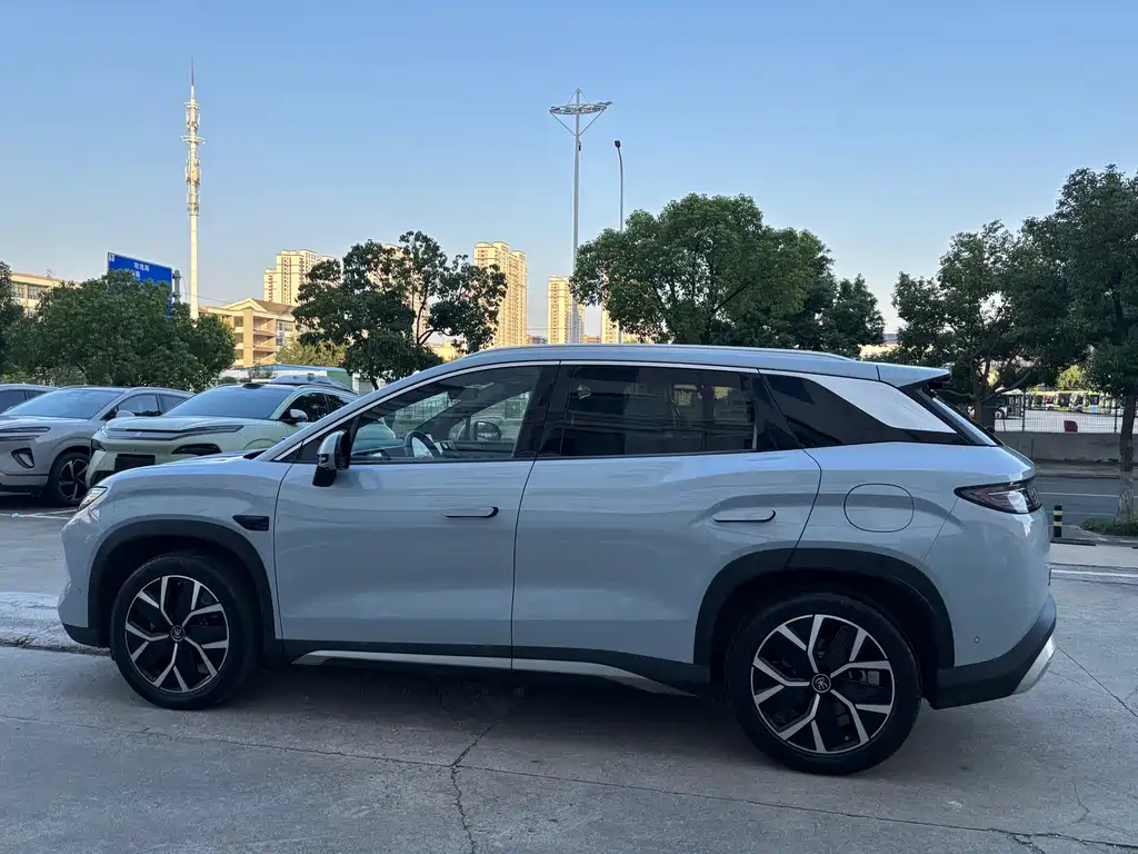 BYD L DM-i — фото 10