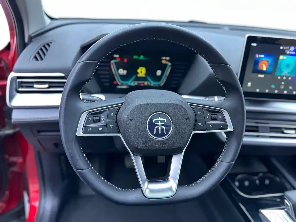 BYD Pro — фото 13