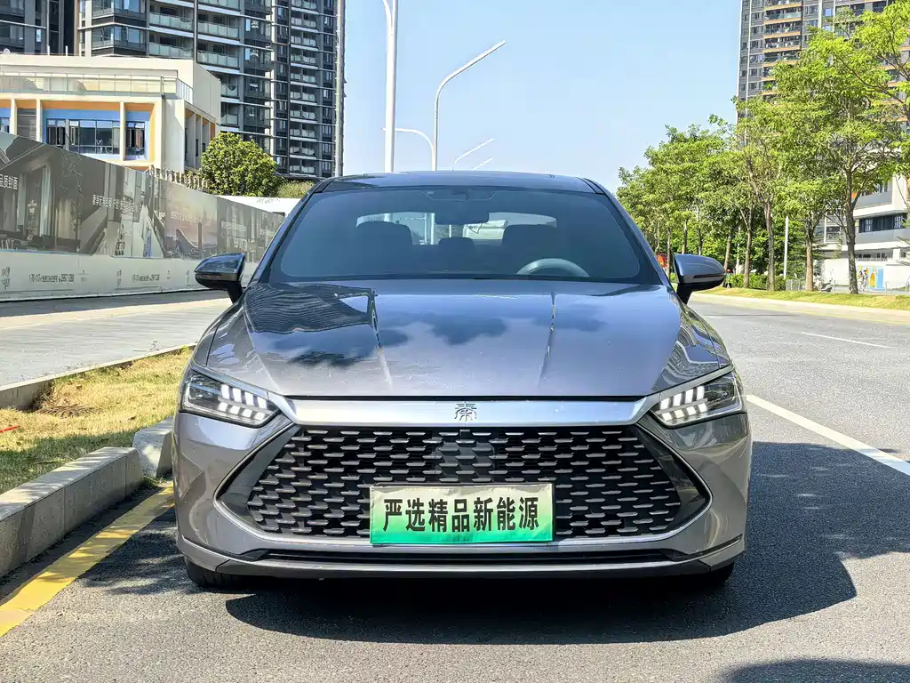 BYD Qin PLUS — фото 2