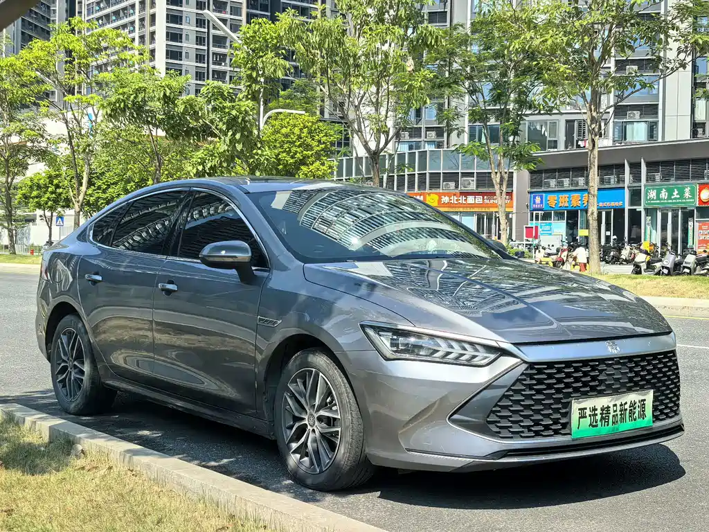 BYD Qin PLUS — фото 3