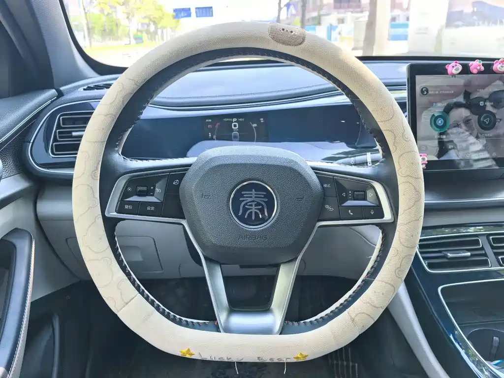 BYD Qin PLUS — фото 5
