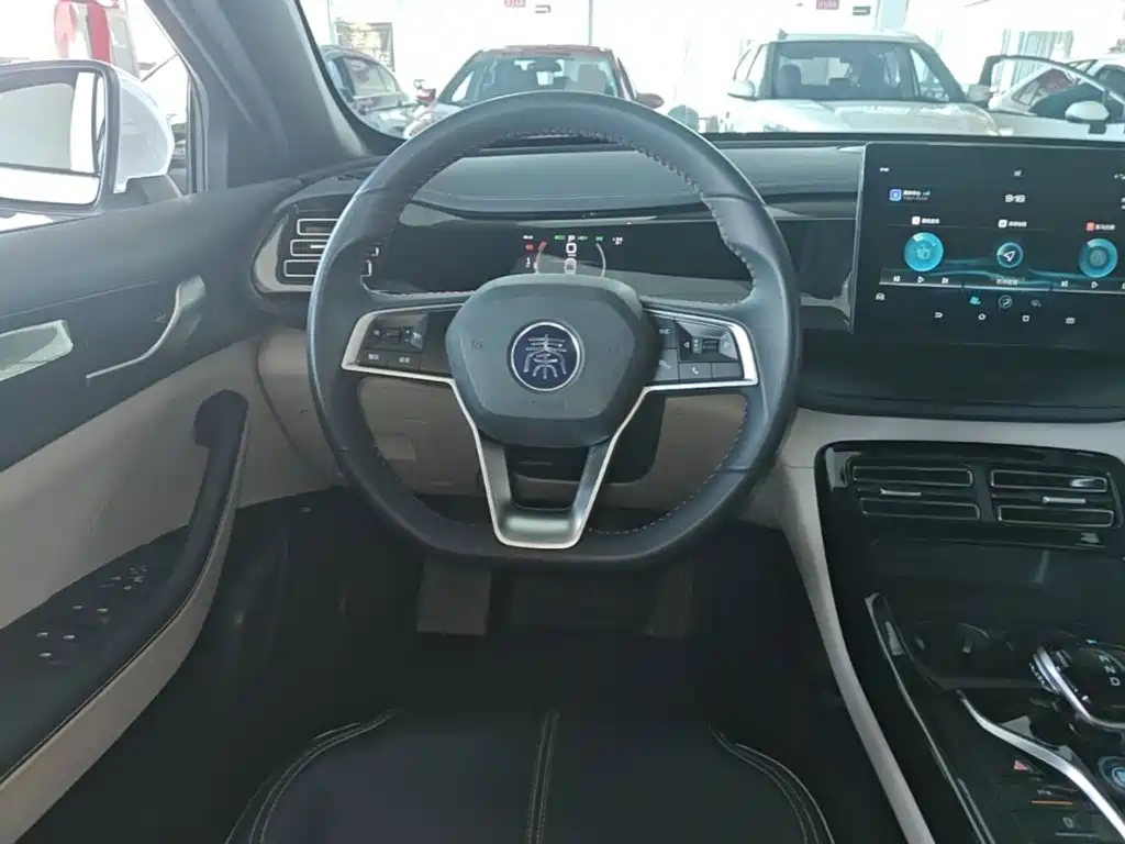 BYD Qin PLUS — фото 11