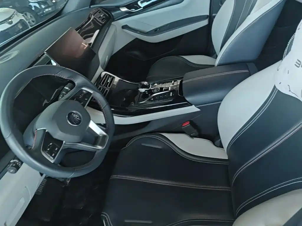 BYD Qin PLUS — фото 15