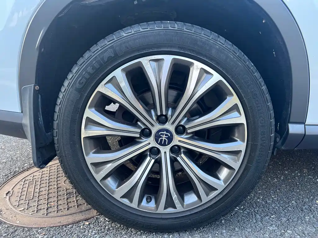 BYD Pro New Energy — фото 6