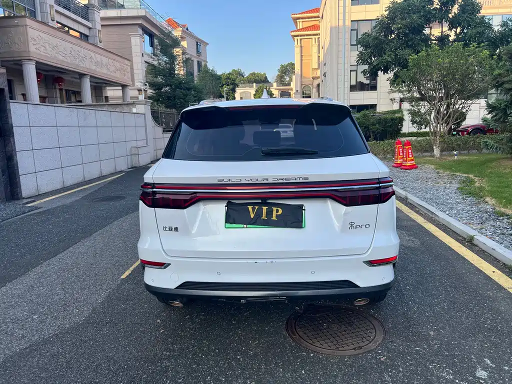 BYD Pro New Energy — фото 8