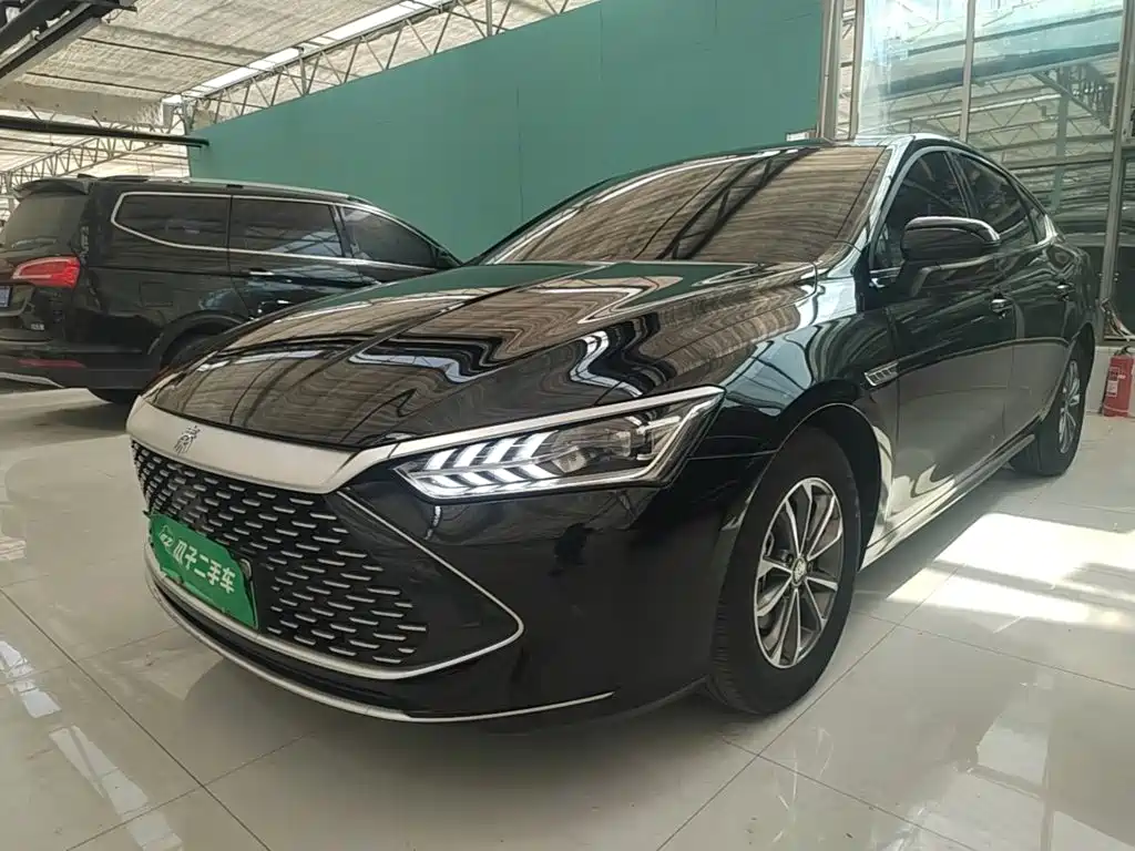 BYD Qin PLUS — фото 2