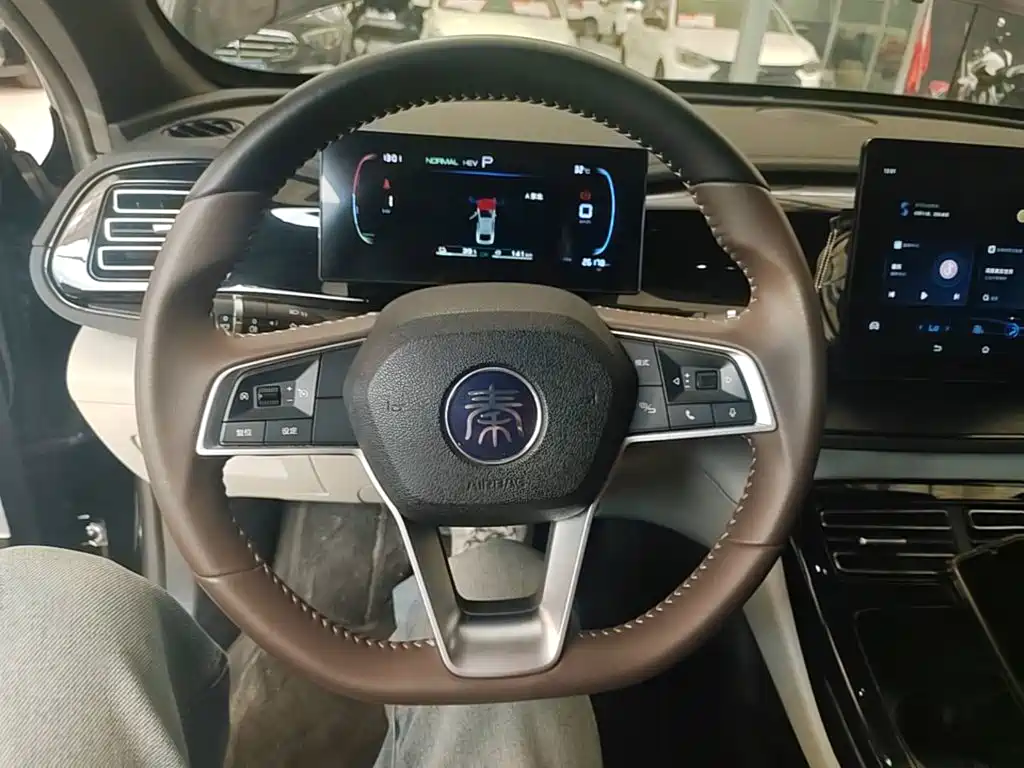 BYD Qin PLUS — фото 11