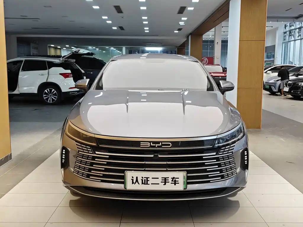 BYD Destroyer 05 — фото 3