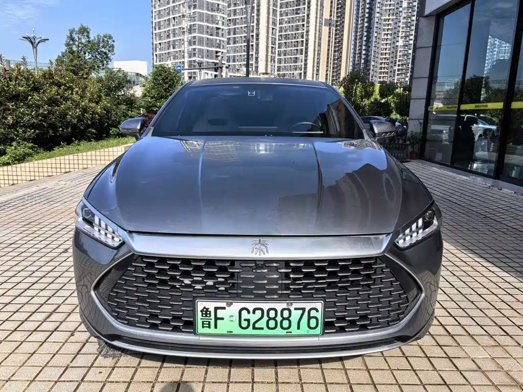 BYD Qin PLUS — фото 2