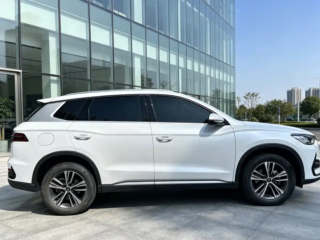 BYD Pro New Energy — фото 6