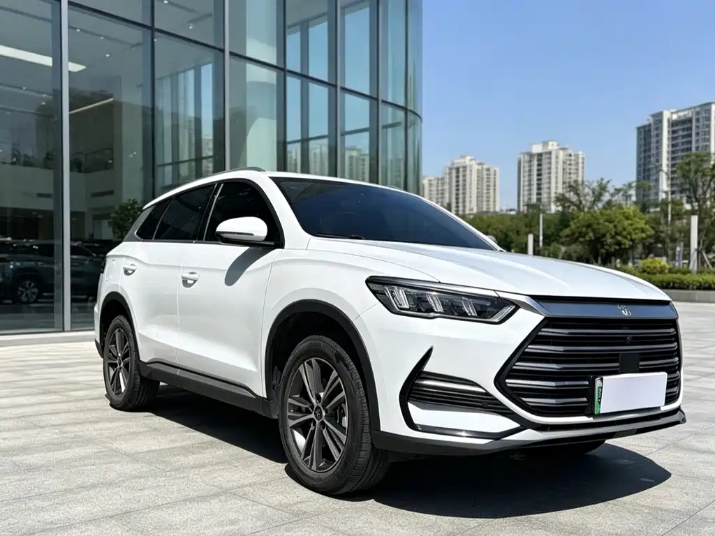 BYD Pro New Energy — фото 10