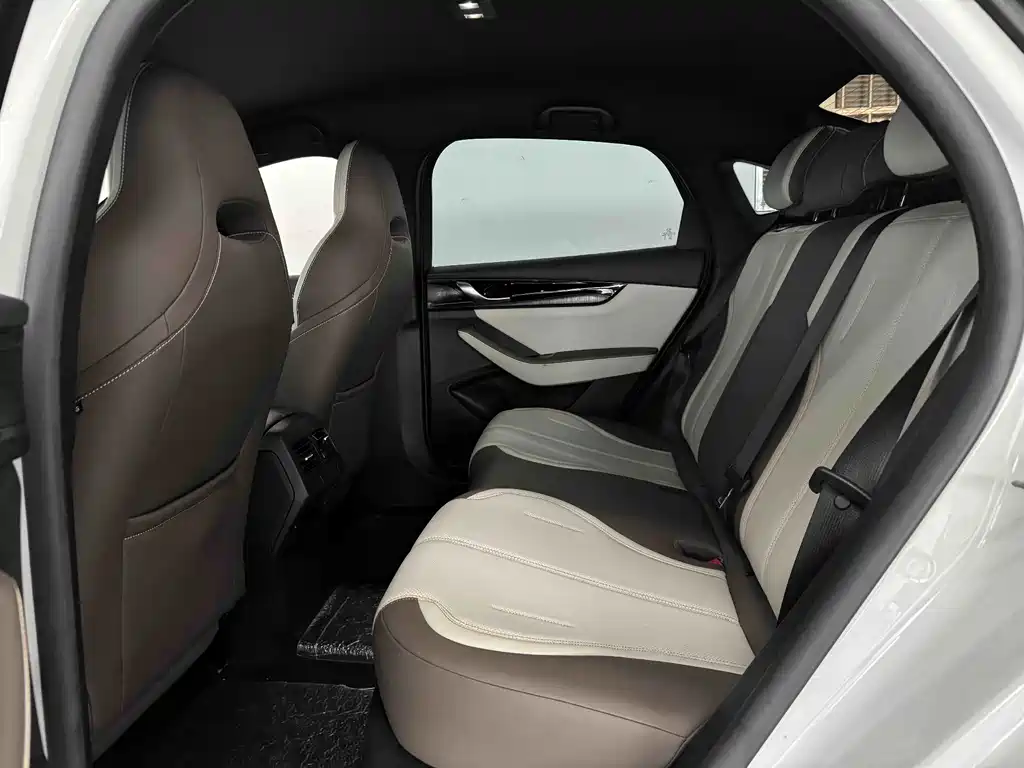 BYD Qin PLUS — фото 14